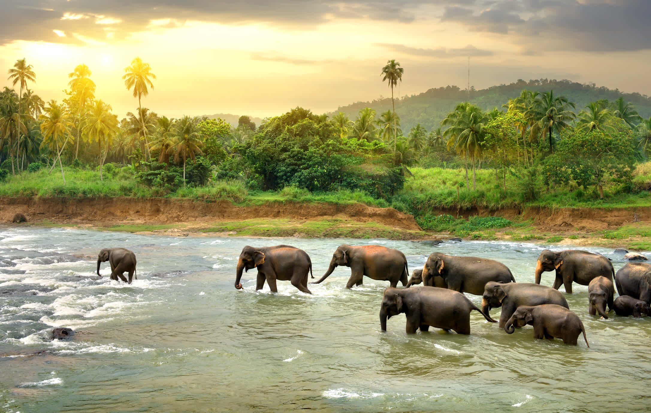 Srilanka